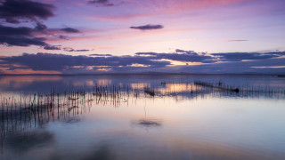 Water plants boats sky clouds - a few boat free wallpaper for desktop