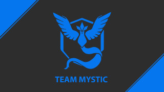 Team mystic snake bird feathers - pokemon free wallpaper