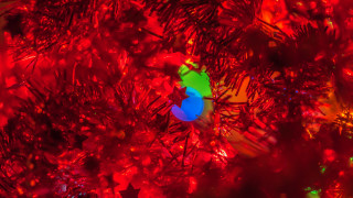 Christmas tree blue ball green - chromatic free wallpaper for desktop