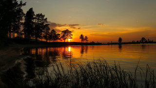 Sunset lake trees grass cityscape - the foreground and a body of water free wallpaper