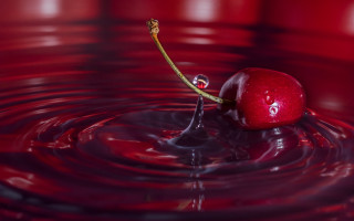 Cherry floating red liquid stem - cherryl fountain free wallpaper