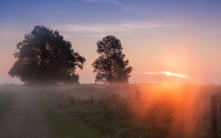 Foggy path trees fence sunset - the fog free wallpaper