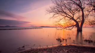Tree water sunset bridge lake - lake free wallpaper for desktop