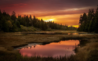 Sunset marsh pond trees clouds - a red sky free wallpaper for desktop