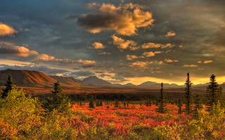 Sunset mountains forest cityscape clouds - tree and mountains free wallpaper