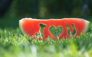Watermelon love grass 3d render - the word love free wallpaper