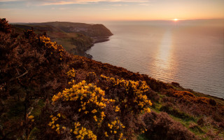 Lake hill autumn flower sunset - dramatic light free wallpaper