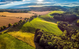 Green field trees road sun - bela čikoš sesija free wallpaper