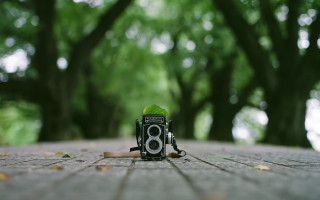 Camera brick surface trees leaf - free technology wallpaper
