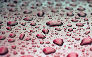 Red water drops macro photography - a red surface free wallpaper for desktop