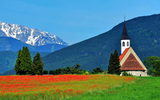 Church flowers mountain blue sky - the top of the mountain free wallpaper