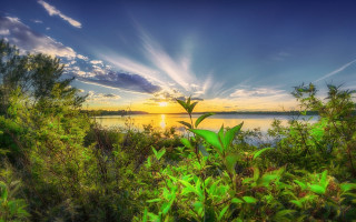 Sunset lake nature trees clouds - a beautiful sunset over a lake free wallpaper