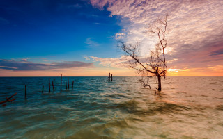 Tree water sunset clouds lake - anthony s waters free wallpaper