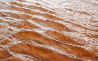 Water sand bird beach macro - alberto burri free wallpaper