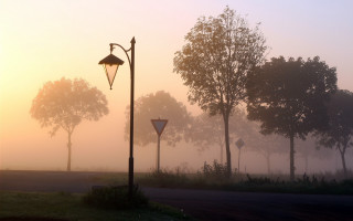 Foggy park streetlights trees sunset - a street light free wallpaper