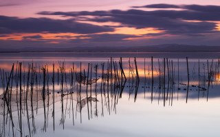 Lake sticks sunset purple sky - a purple sky free wallpaper
