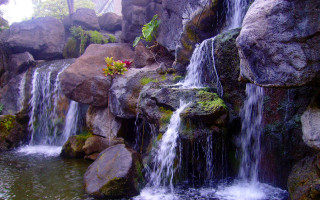 Waterfall rocks plants flowers cave - cherryl fountain free wallpaper