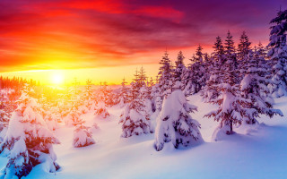 Sunset snowy forest bob ross - bob ross free wallpaper