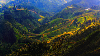 Valley trees train autumn landscape - a view of a valley free wallpaper