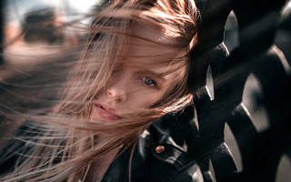 Girl long hair fence wind - leaning free wallpaper