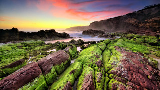 Green moss rock sunset blooming - rock next free wallpaper