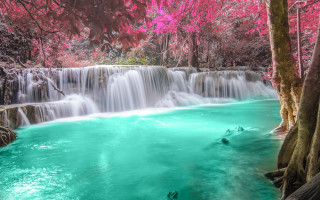 Waterfall pool trees pink flowers - waterfall free wallpaper for desktop