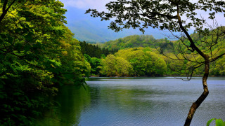 Lake bench trees mountains scenery - tree and mountains free wallpaper for desktop