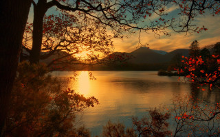 Autumn lake mountains tree sunset - a tree and mountains free wallpaper for desktop