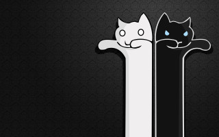 White black cat illusion storybook - two cat free wallpaper for desktop