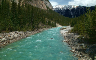 River forest mountains rocks sky - river free wallpaper for desktop