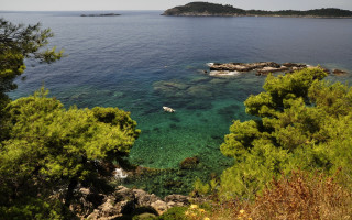 Lake mountain forest sunset water - free summer wallpaper