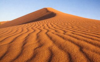 Sand dune tree distance blue - a tree in the distance free wallpaper