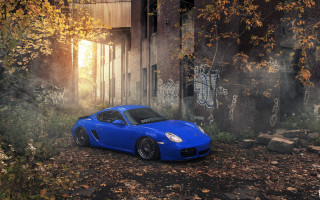 Blue sports car leafy graffiti - rich free wallpaper