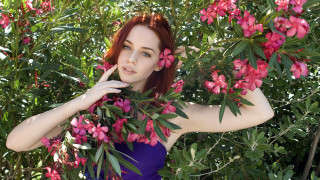 Purple dress woman bush pink - a bush free wallpaper