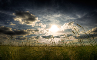 Field sunset horizon clouds grass - white cloud free wallpaper for desktop