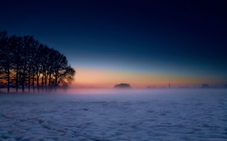 Foggy field trees sunset mystical - a foggy field free wallpaper