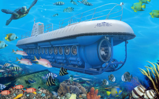 Submarine fish corals diver underwater - fish and corals free wallpaper