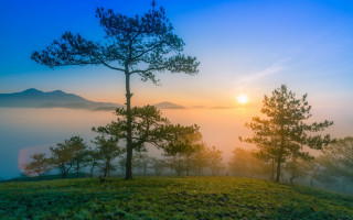 Sunrise mountain fog trees mist - a hill top free wallpaper