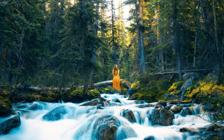 Woman yellow dress forest river - esther blaikie mackinnon free wallpaper