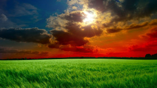 Green grass cloudy sky sunshine - the cloud above free wallpaper