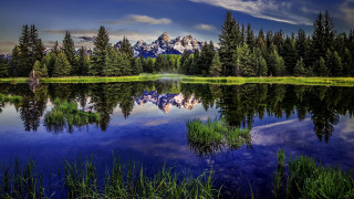 Mountain lake reflection trees grass 4 - tree and grass free wallpaper for desktop