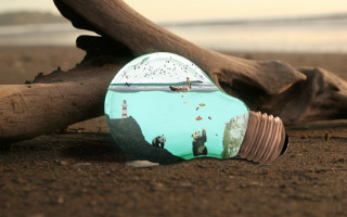 Light bulb beach tree water - a sandy beach next free wallpaper