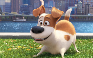 Cartoon dog smile grass river - a cartoon dog free wallpaper