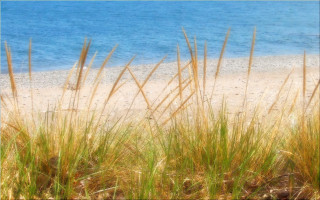 Beach grass water sky bridge - depth of field free wallpaper