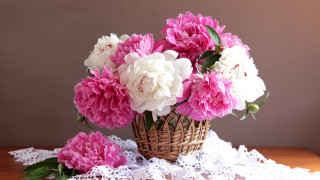 Basket flowers lace stilllife folkart - folk art free wallpaper