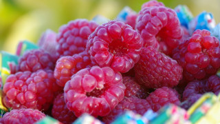 Raspberries basket photorealism macro bokeh - raspberry free wallpaper for desktop