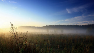 Foggy dawn forest lake mountains 2 - fog and trees free wallpaper