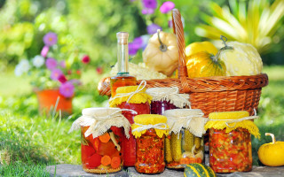 Picnic basket food wine pumpkin - fall vibrancy free wallpaper