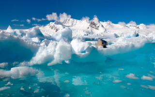 Bear iceberg mountain water sky - a large iceberg free wallpaper