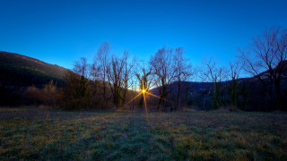 Sunset mountains trees lake bush - free light wallpaper
